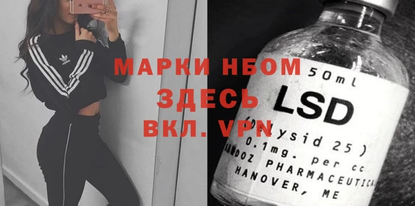 спиды Зеленокумск