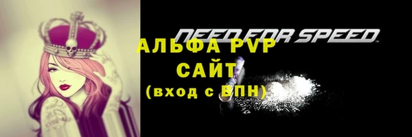 спиды Зеленокумск