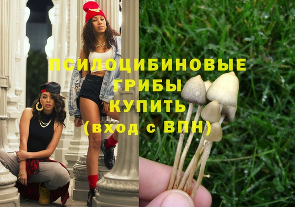 эйфоретик Зерноград